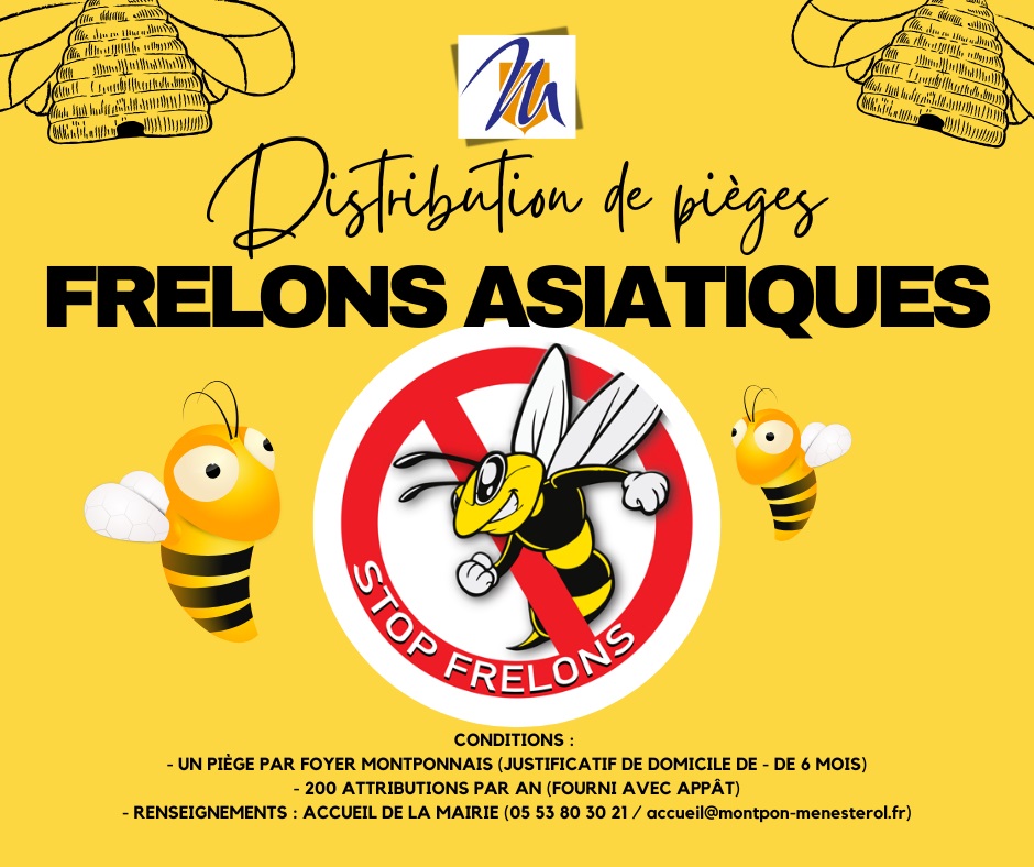 Pièges frelons